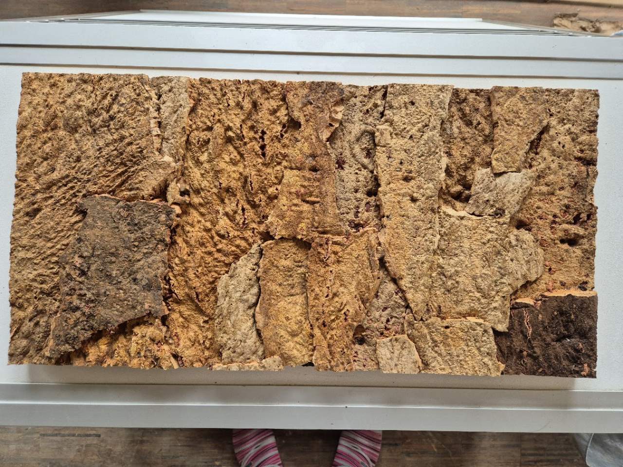Korkrückwand Wüstenterrarien 60 x 30 cm